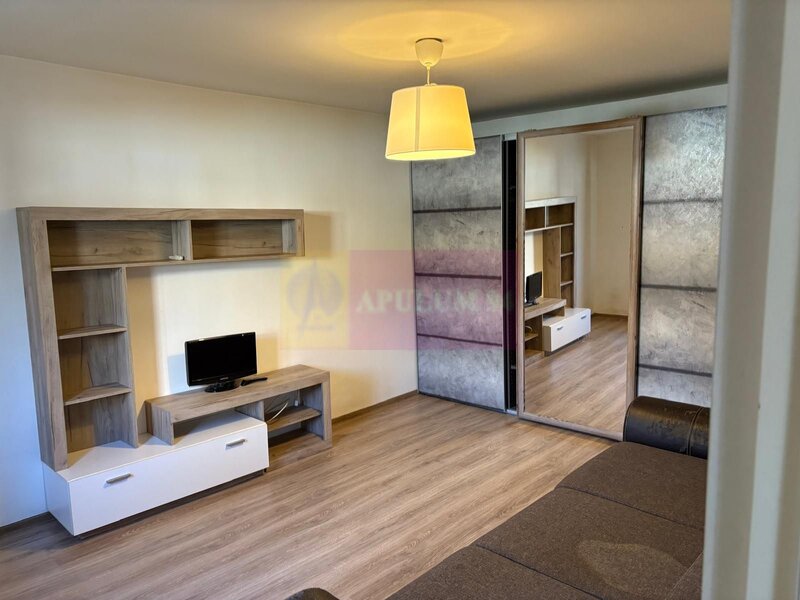 Metrou Tineretului comision 0, garsoniera, 33 mp curte 50 mp